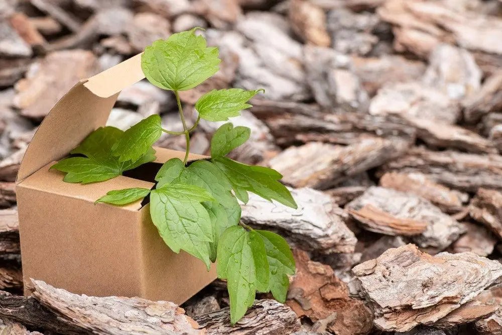What Makes Packaging Eco-Friendly: Boxes and More - MillionParcel