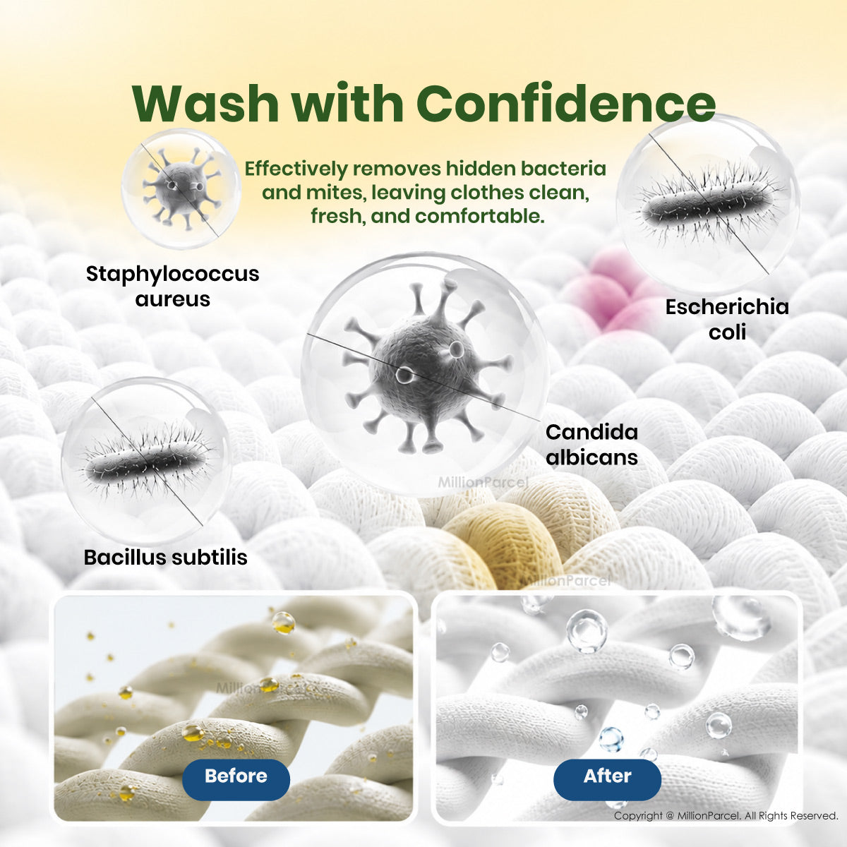 Botare 5-in-1 Laundry Capsule 100 Pods | 5D Detergent Pods Singapore