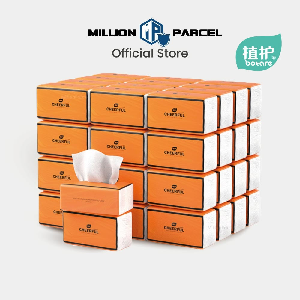 Document Carton Box - MillionParcel