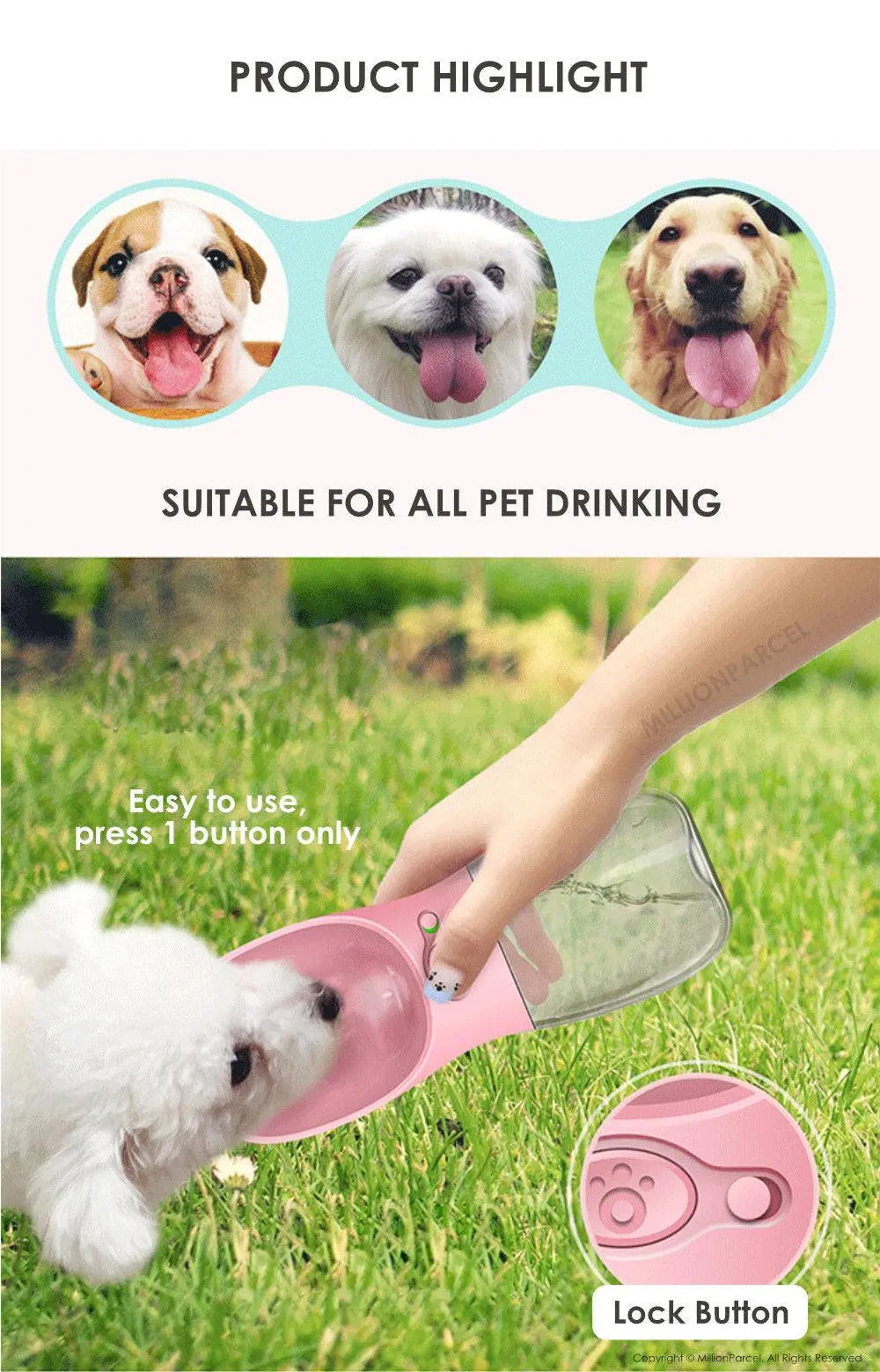 Pet Water Cup - MillionParcel