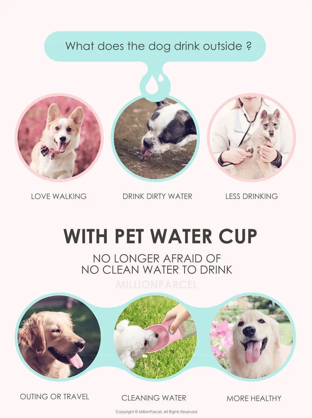 Pet Water Cup - MillionParcel