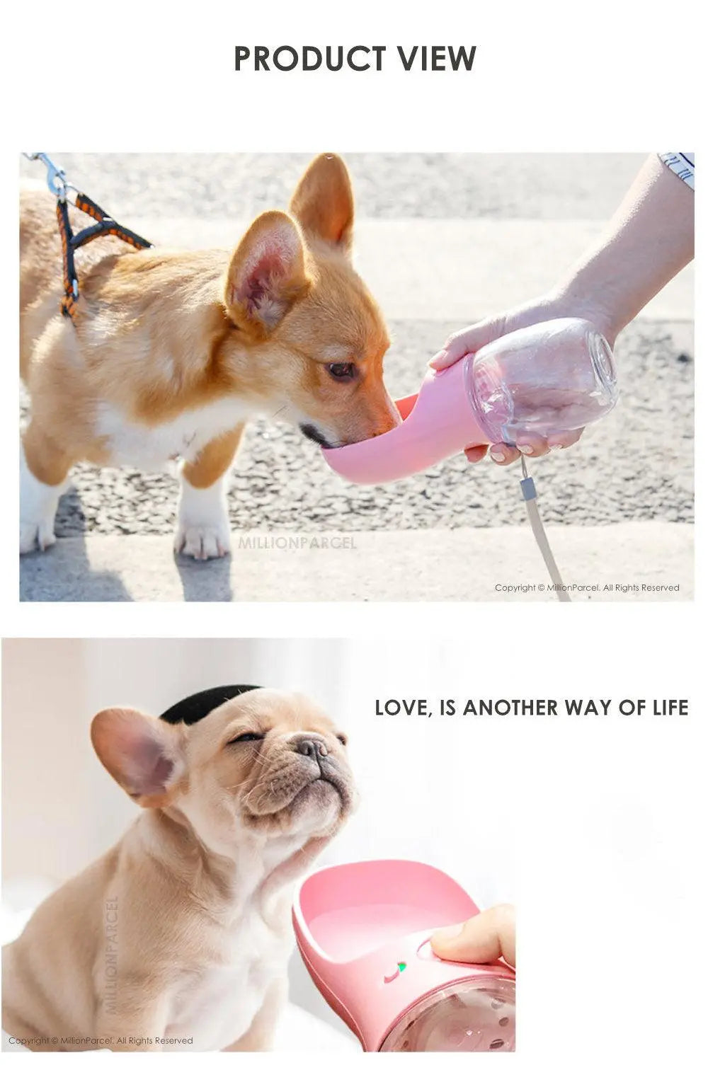 Pet Water Cup - MillionParcel