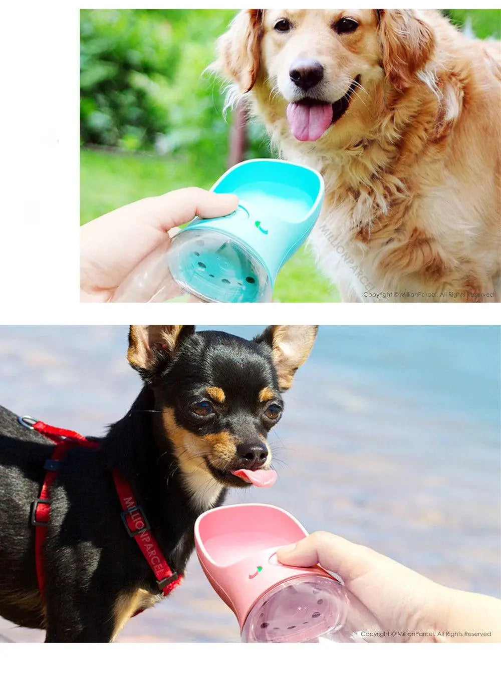 Pet Water Cup - MillionParcel